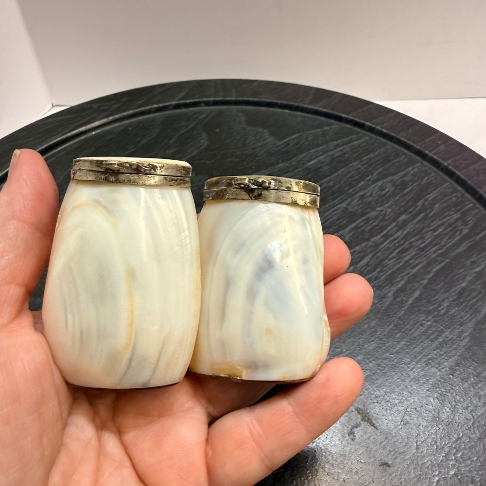 Vintage Mother of Pearl Shell Salt and Pepper Shakers Silver Tone Hinged Lids